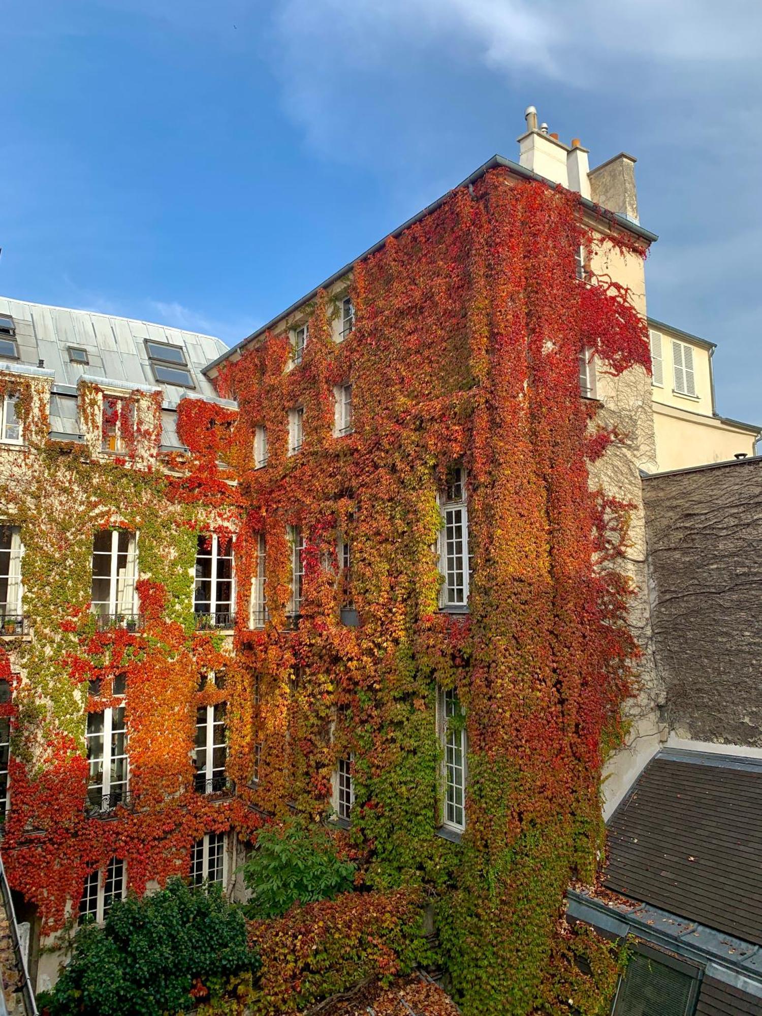 Studio Independant De Charme Appartement Parijs